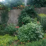 Azra Apartamento