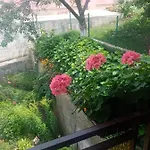 Azra Visoko