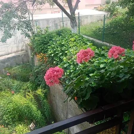Azra Visoko